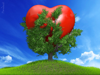 Heart in Tree.jpg