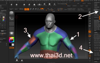 ZBrush : การรวม Polygroup ด้วย Mask